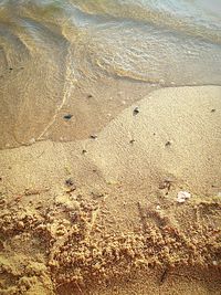 Full frame shot of beach