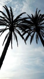 Low angle view of palm tree against sky