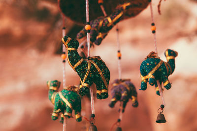 Close-up of butterfly hanging on the for sale