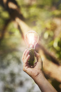 Hand holding lightbulb