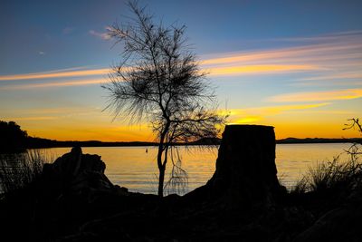 Silhouette bare tree by sea against sky during sunset