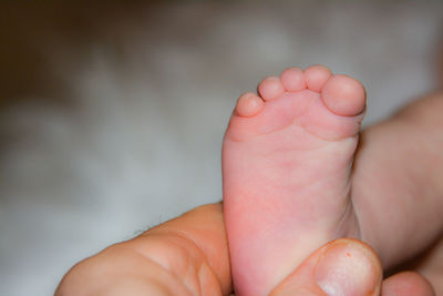Close-up of baby feet