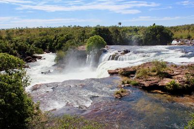 Scenic view of waterfall in forest