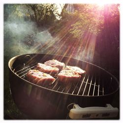 Close-up of meat on barbecue grill