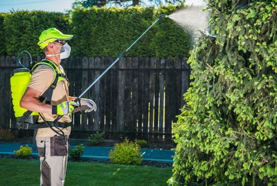 Man spraying pesticide on plants by fence