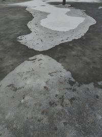 High angle view of wet puddle on street