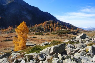 Scenic view of rocky mountains against sky