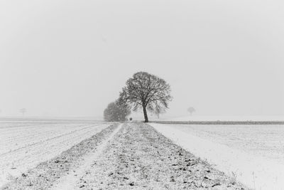 Empty field against clear sky