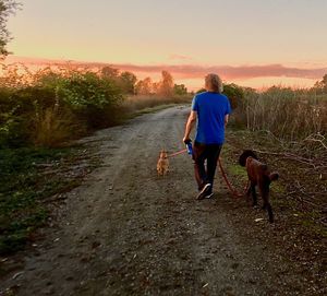Rear view of man walking with dog at sunset