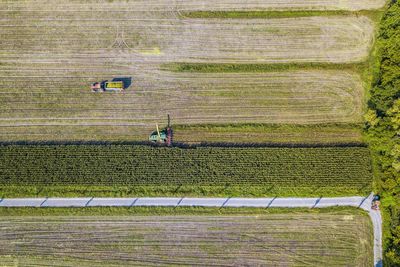 High angle view of agricultural field