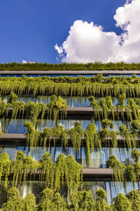 Germany, baden-wurttemberg, stuttgart, office building covered in green creeping plants