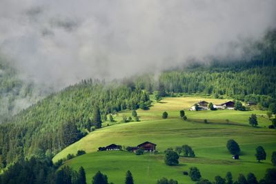 Scenic view of trees in forest and farm houses with rising fog  against sky