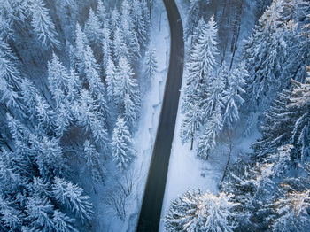 Aerial view of road amidst forest during winter