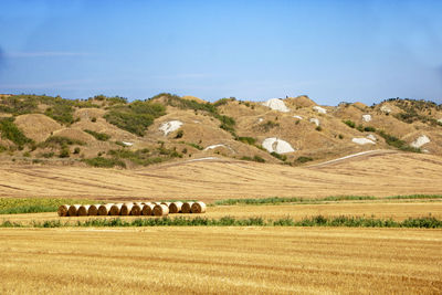 Scenic view of farm field against sky