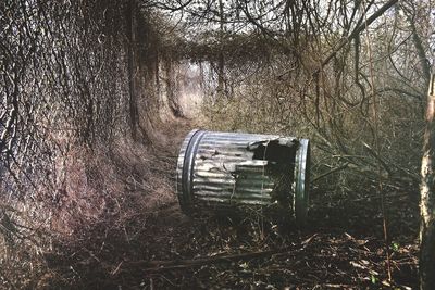 View of bare trees on field