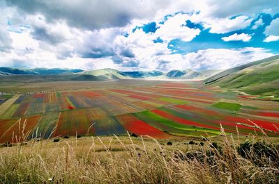 Scenic view of rural landscape