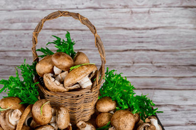 Mushrooms growing in basket