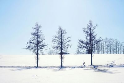 Trees by lake against clear sky