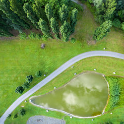 High angle view of road amidst trees