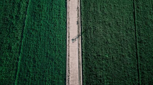 Full frame shot of agricultural field