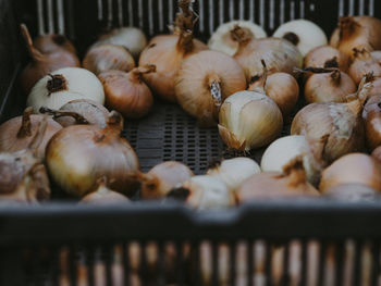 Close-up of vegetables for sale in market