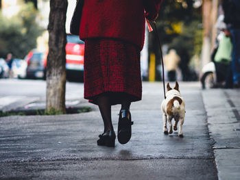 Low section of woman with dog walking on road