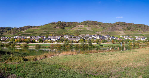 Scenic view of field against clear blue sky