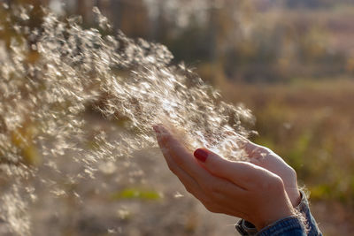 Close-up of person holding hand