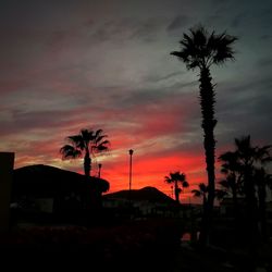 Silhouette palm trees against sky during sunset