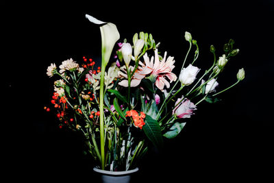 Close-up of flower bouquet against black background