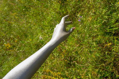 Close-up of hand on grass