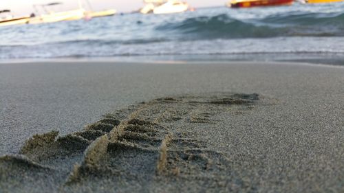 Scenic view of beach