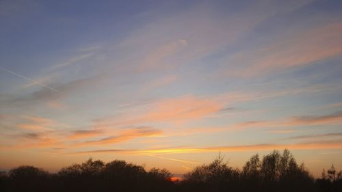 Low angle view of silhouette trees against sky during sunset