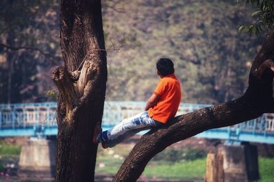 Rear view of men sitting on tree trunk