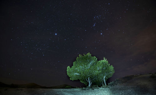 Scenic view of star field against sky at night