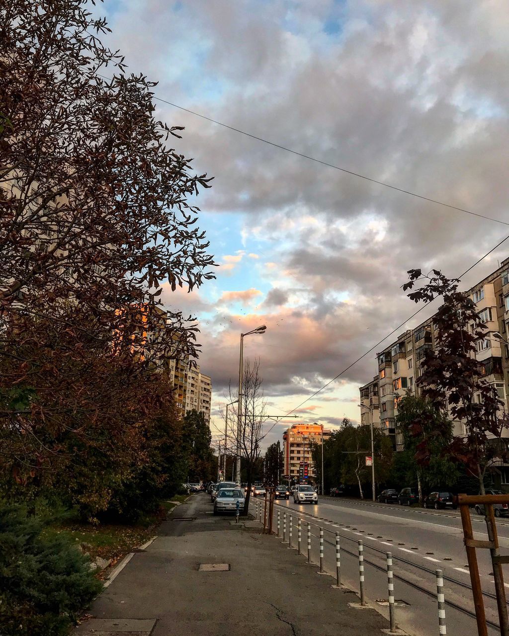 ROAD BY TREE AGAINST SKY