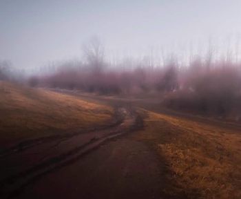 Road amidst trees against sky during autumn