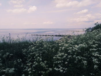 Scenic view of sea against sky