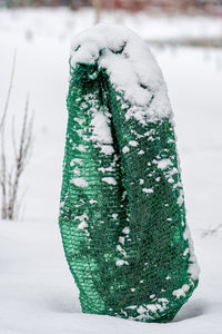 snow
