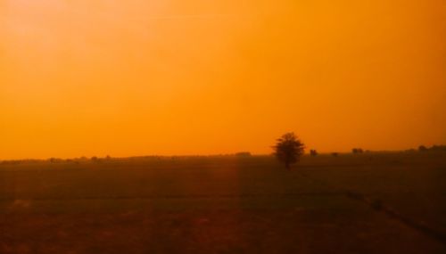 Scenic view of field against orange sky