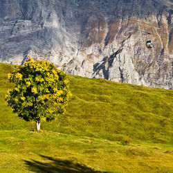 Scenic view of landscape