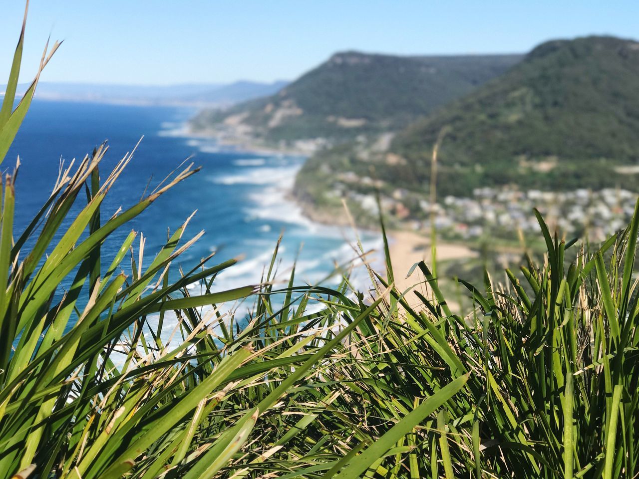 nature, tranquility, tranquil scene, beauty in nature, scenics, day, mountain, water, outdoors, grass, no people, green color, focus on foreground, growth, sky, lake, clear sky, close-up