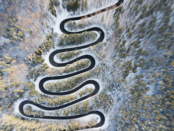 High angle view of plant on land