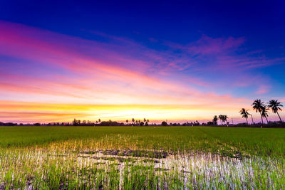 Scenic view of field against sky during sunset