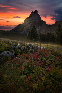 Scenic view of field against sky during sunset