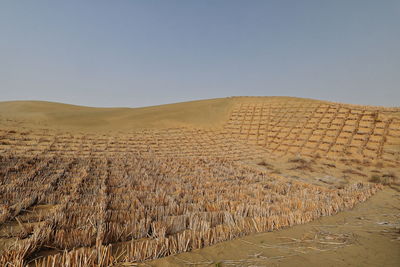 Scenic view of desert against clear sky