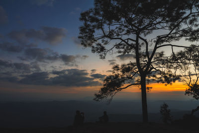 Silhouette trees against sky during sunset