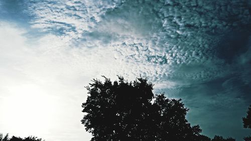 Low angle view of tree against cloudy sky