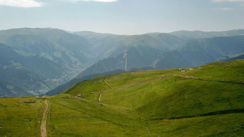 Mountain landscape with green grass / turkey / trabzon