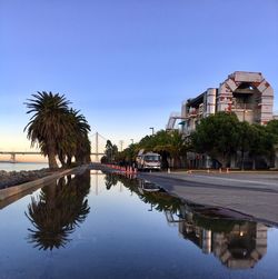Reflection of palm trees and buildings in canal